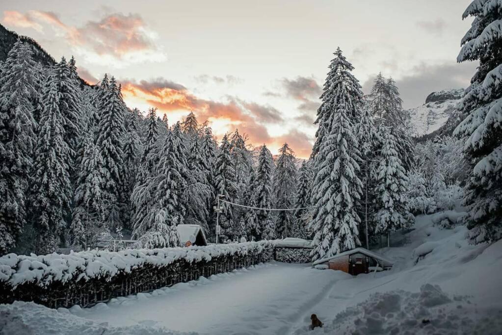 Idyllic Triglav Forest Retreat - Alps, Trails, Lakes, Falls Mojstrana Buitenkant foto